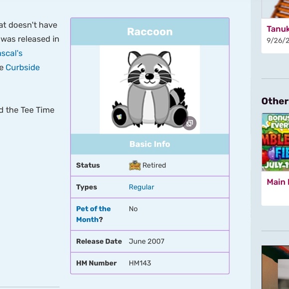 Webkinz Raccoon HM143 - Retired. No code. - Picture 2 of 10